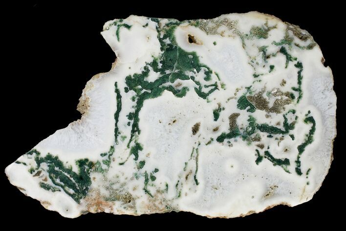 Polished Tree Agate Slab - India #167487